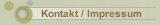 Kontakt / Impressum